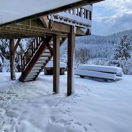 Chalet Situe Au Grand Valtin Villa Ban-sur-Meurthe-Clefcy Buitenkant foto