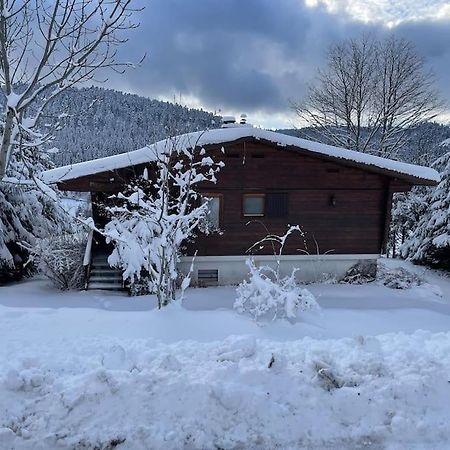Chalet Situe Au Grand Valtin Villa Ban-sur-Meurthe-Clefcy Buitenkant foto