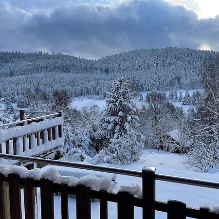 Chalet Situe Au Grand Valtin Villa Ban-sur-Meurthe-Clefcy Buitenkant foto