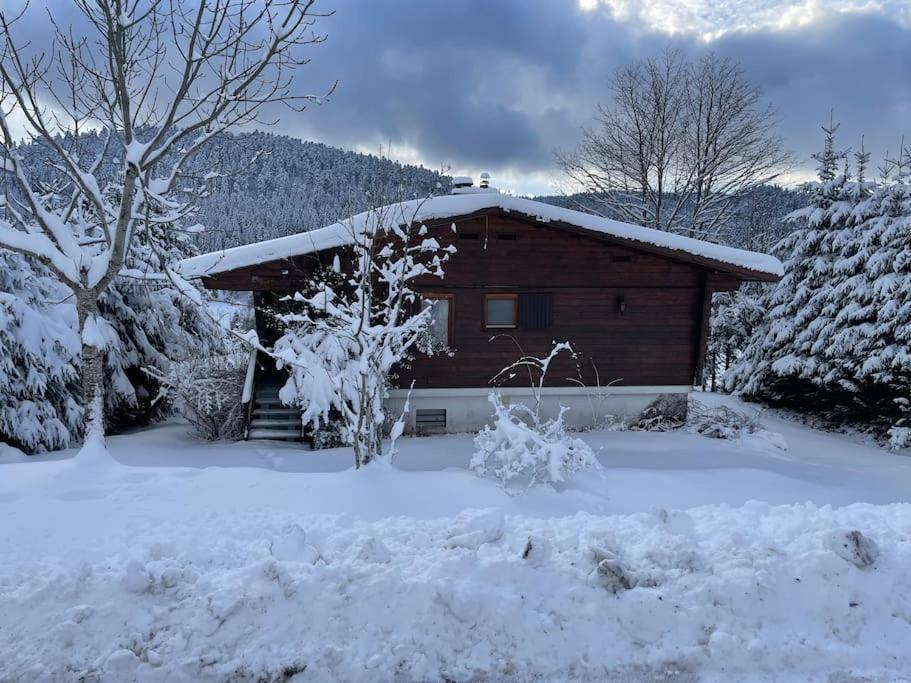 Chalet Situe Au Grand Valtin Villa Ban-sur-Meurthe-Clefcy Buitenkant foto