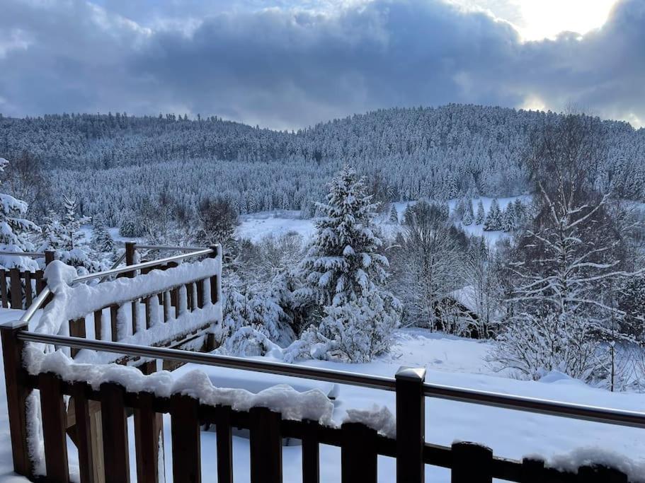 Chalet Situe Au Grand Valtin Villa Ban-sur-Meurthe-Clefcy Buitenkant foto